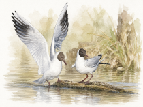 ChatGPT_Image_14_____2026___2C_19_19_58.png