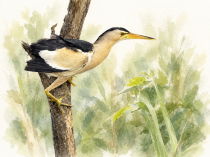 ChatGPT_Image_13_____2026___2C_20_28_56.png
