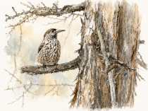 ChatGPT_Image_13_____2026___2C_19_58_03.png