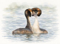 ChatGPT_Image_13_____2026___2C_20_25_36.png